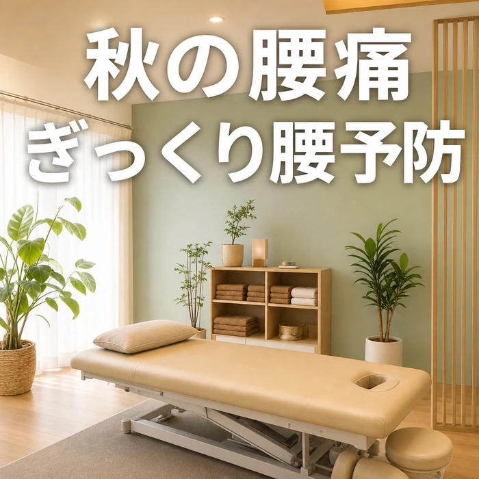 画像772