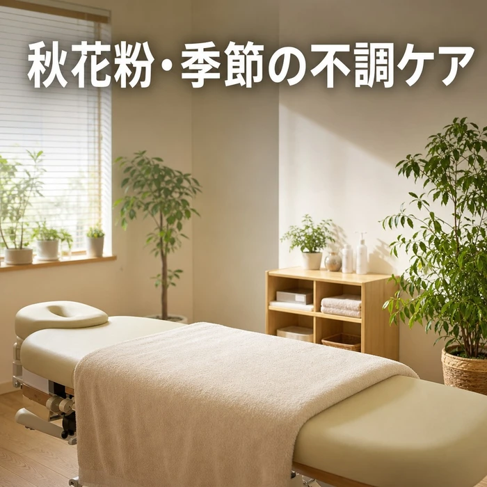 画像828